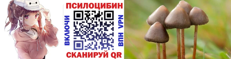 Галлюциногенные грибы мицелий  мега ONION  Агидель 